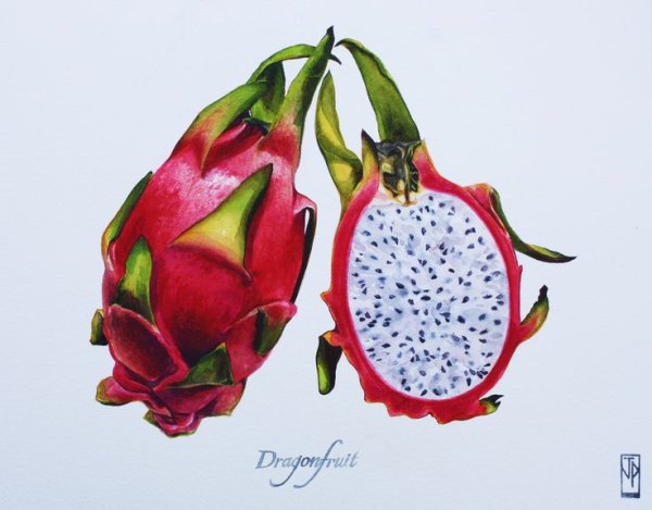 Драгон фрукт маркерами