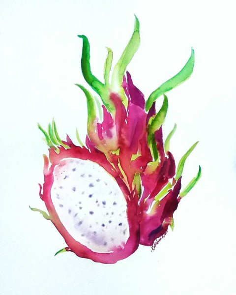 Дракон Драконий фрукт арт