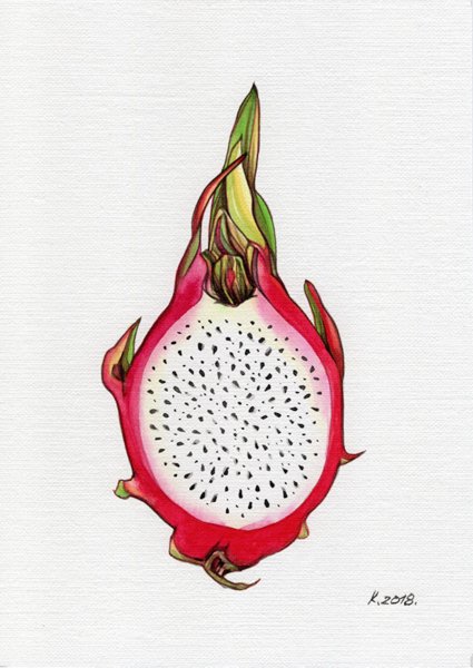 Питайя Драконий фрукт в карандаше