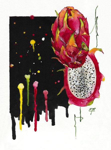 Драконий фрукт акварелью