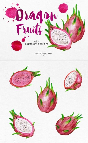 Драконий фрукт рисунок