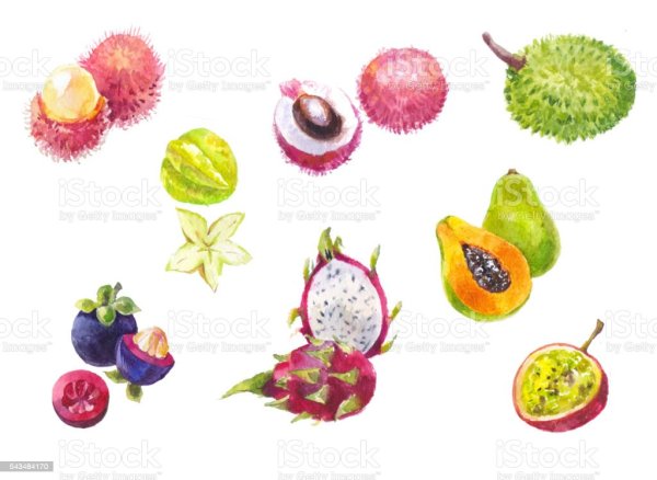 Экзотические фрукты акварелью