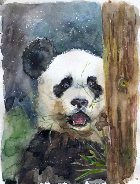 Панда акварелью