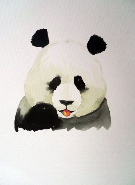 Панда акварелью