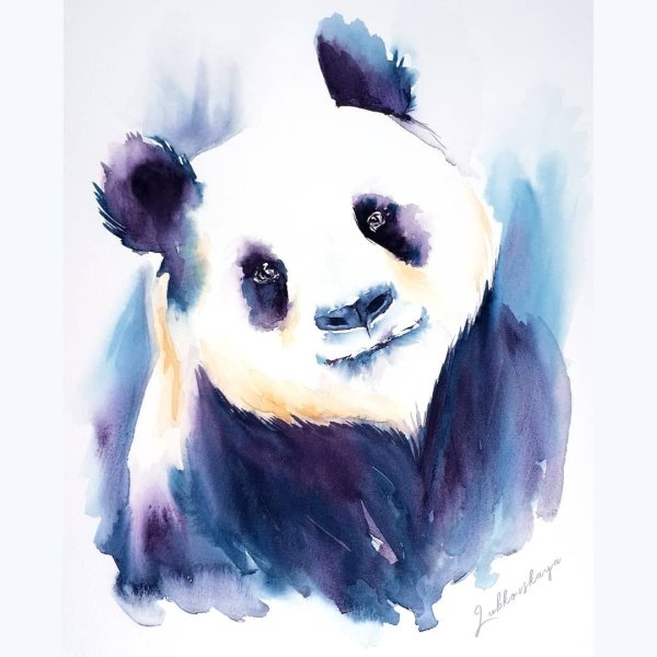 Пандочка акварель