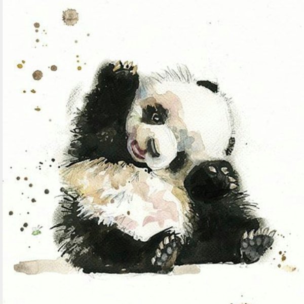 Панда рисунок правопллу