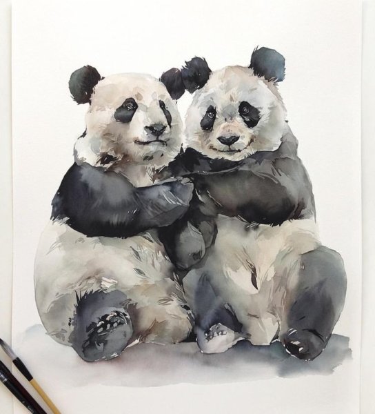 Панда акварелью