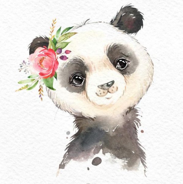 Акварельные зверята