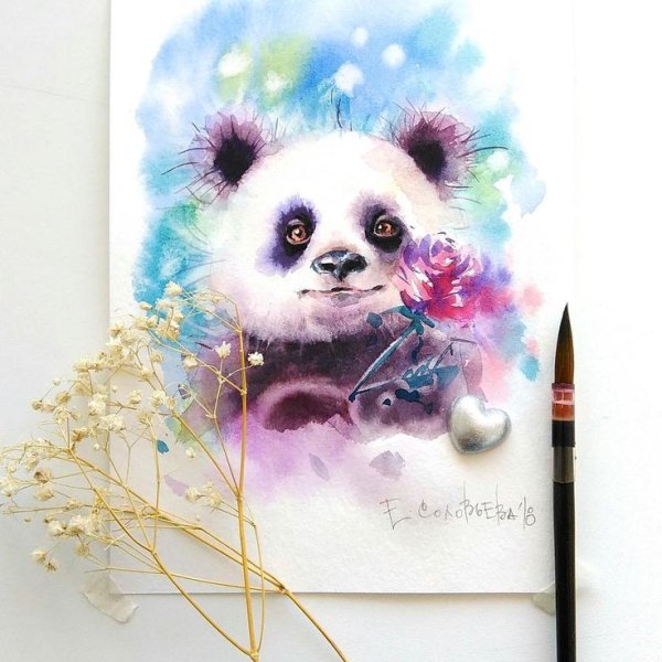 Иллюстрαтор Евгения Соловьева