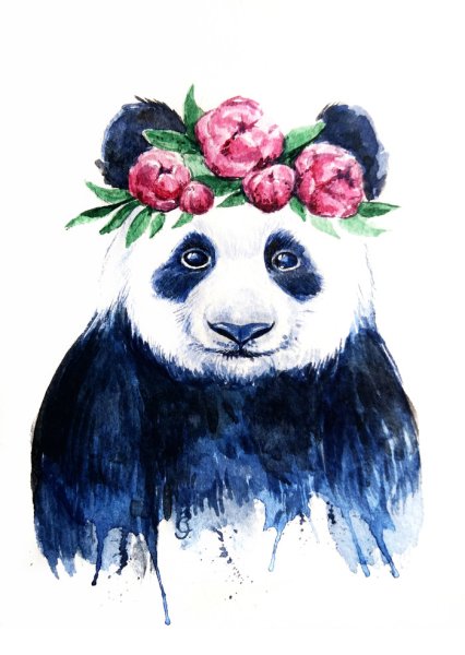 Панда акварелью