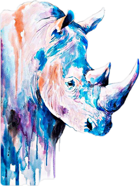 Животные акварелью