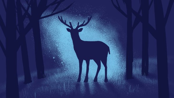 Олень в ночном лесу