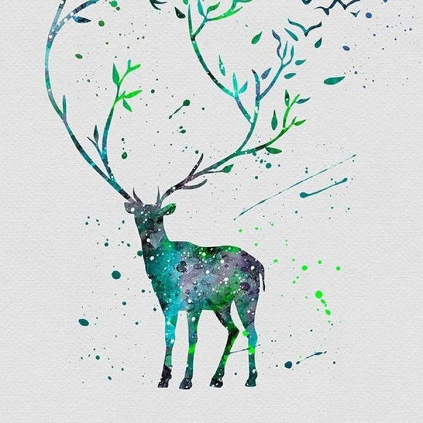 Рисунок оленя для срисовки