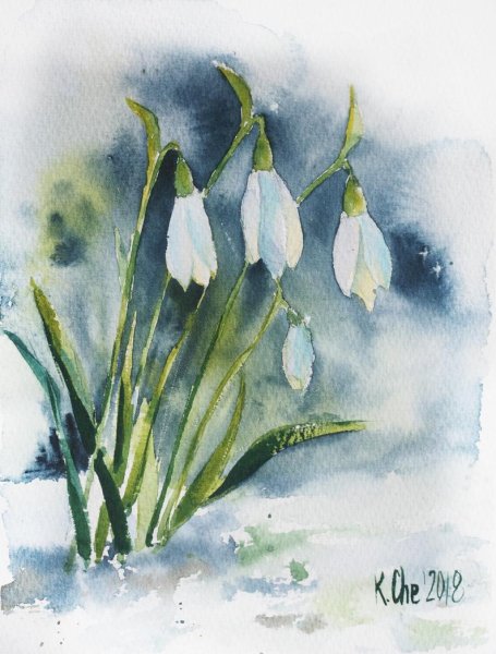 Подснежники акварель Манухов