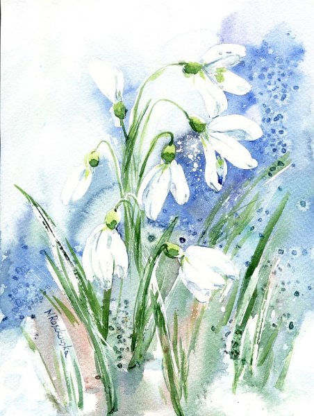 Подснежники акварель Манухов