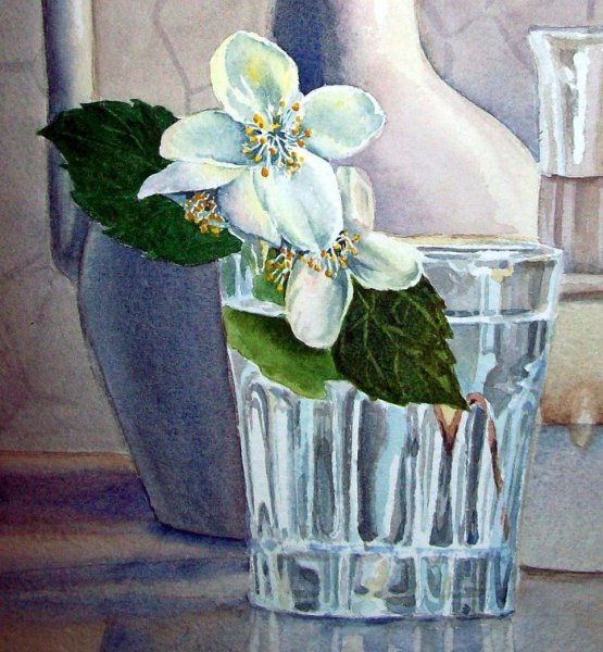 Елена Вавилина пионы