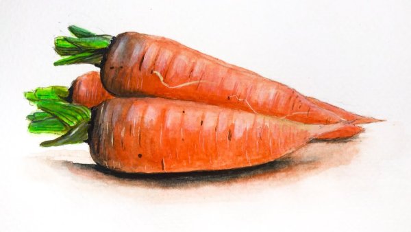 Морковка скетч