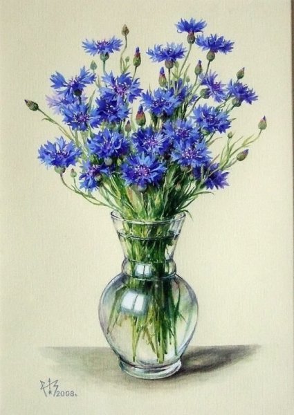Натюрморт цветок в вазе цветным карандашом