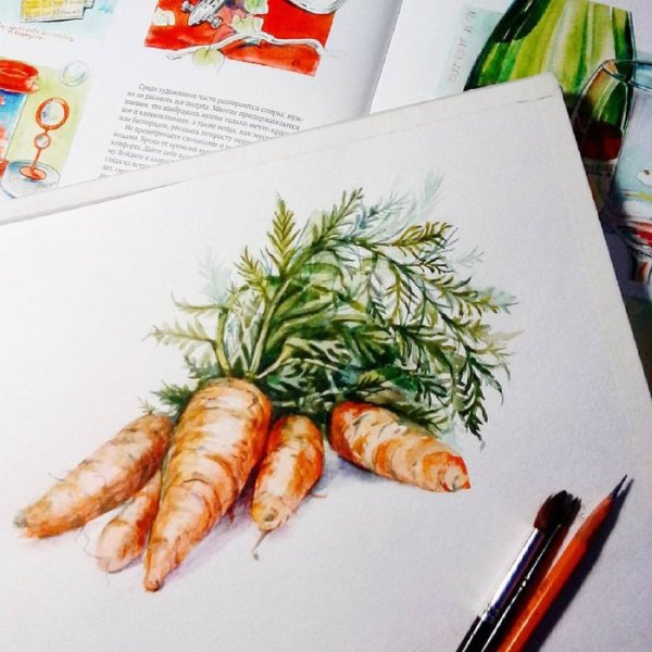 Морковь на белом фоне