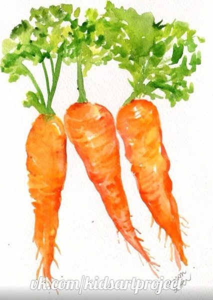 Этюд морковь акварель