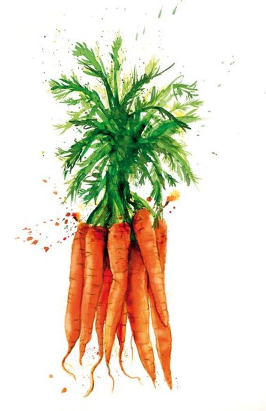 Акварельные зарисовки овощей