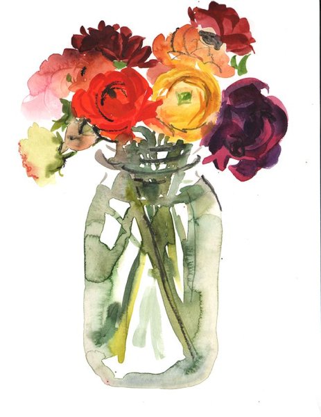 Ранункулюсы акварель