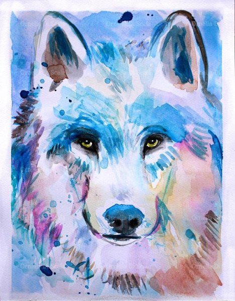 Картины акварелью волк