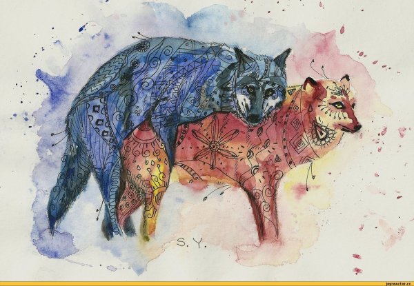 Волк красками