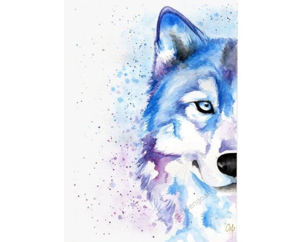 Волк акварелью ребенку