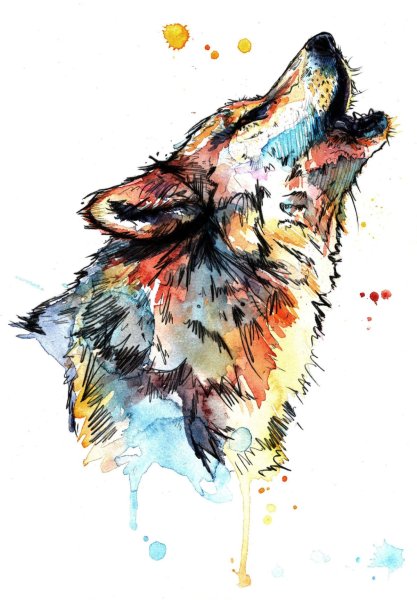 Волк акварелью