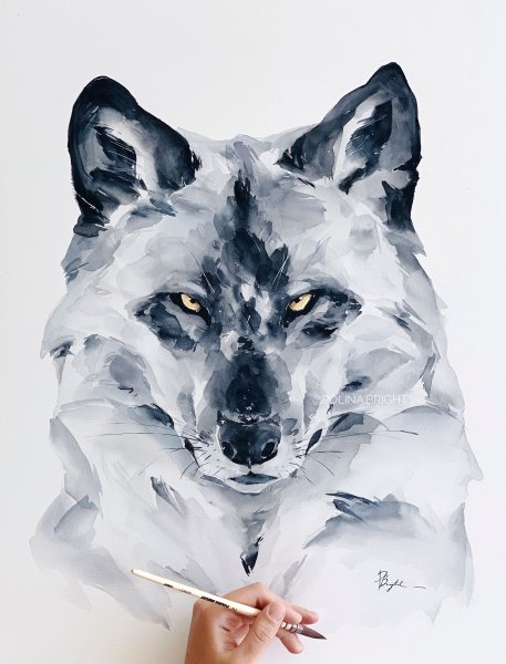 Волков акварели