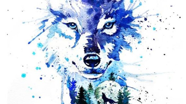 Разноцветный волк из акварели