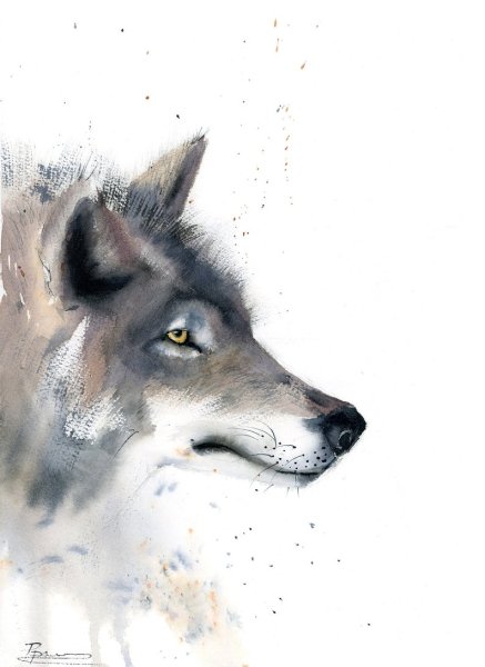 Крутые рисунки акварелью