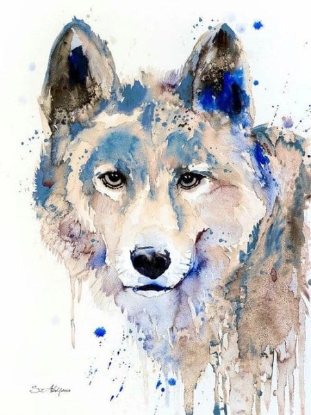 Волк акварелью в полный рост