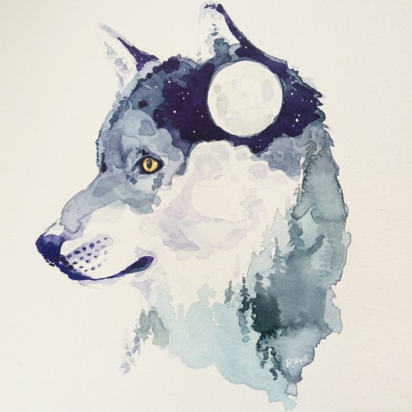 Волк рисунок акварелью