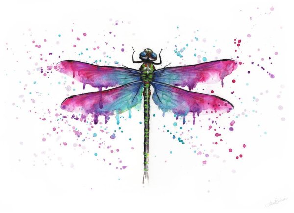 Стрекоза акварель