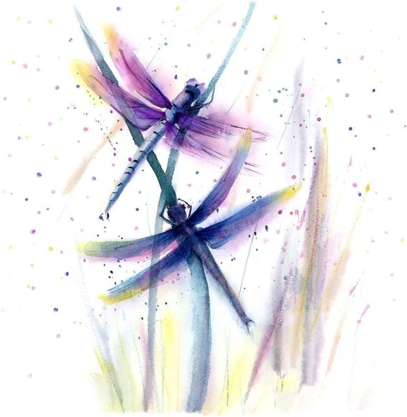 Акварельные Стрекозы