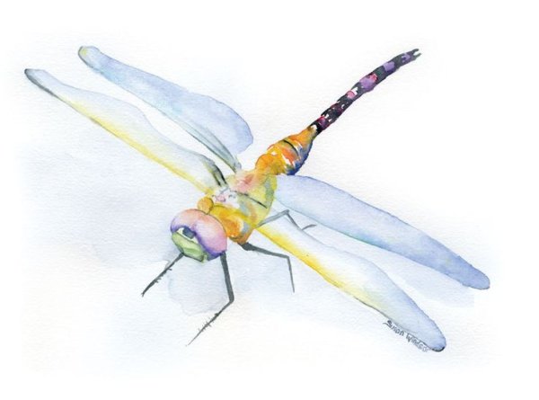 Бабочки Стрекозы в живописи