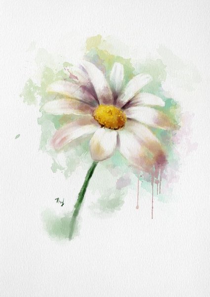Рисуем ромашки акварелью