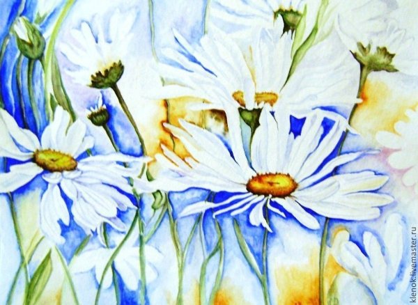Цветы ромашки акварель
