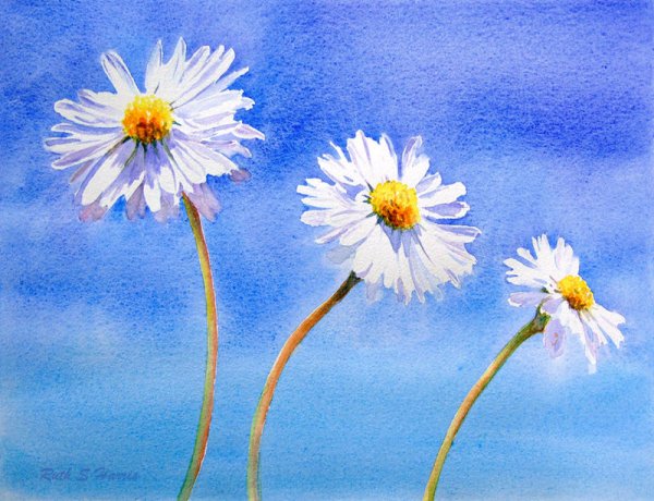 Ромашки акварелью для начинающих