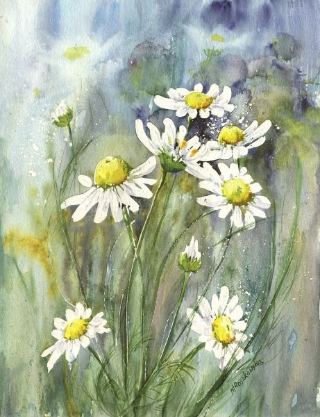 Maria Roszkowska Watercolor акварель цветы
