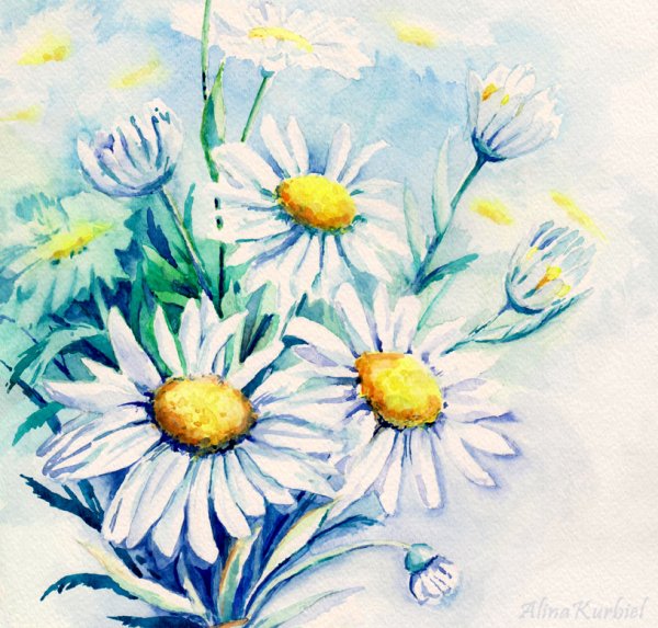 Акварель ромашки