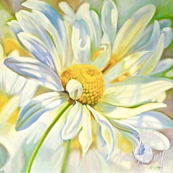 Полевые цветы в акварели Уэнди Тейт