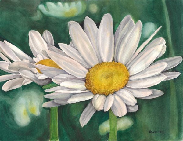 Ромашки гуашью