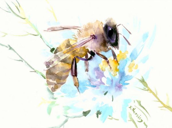 Цветочки пчелы акварель