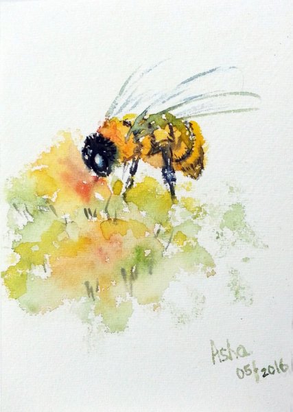 Пчела гуашью