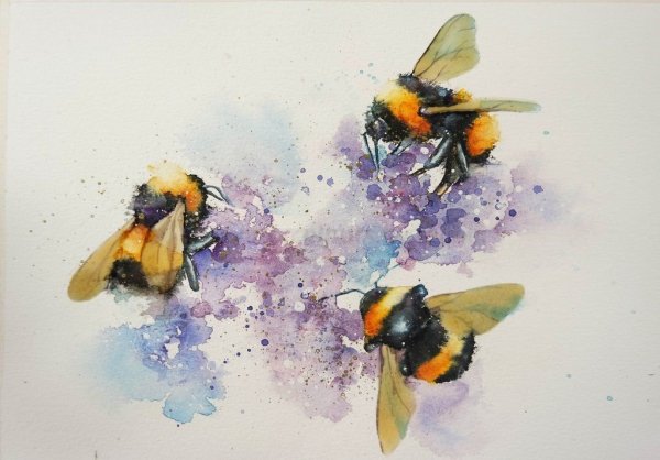 Пчела на цветке акварель