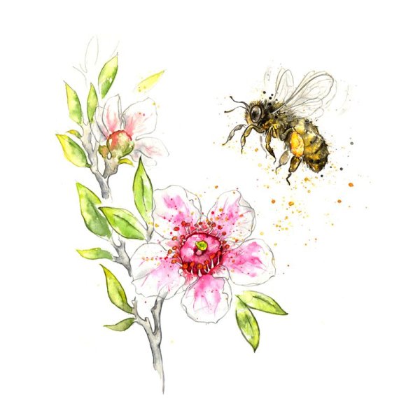 Пчелы с цветами акварель