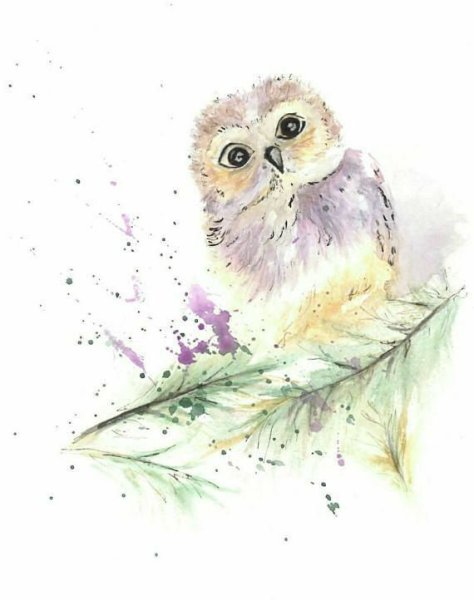 Сова акриловыми красками